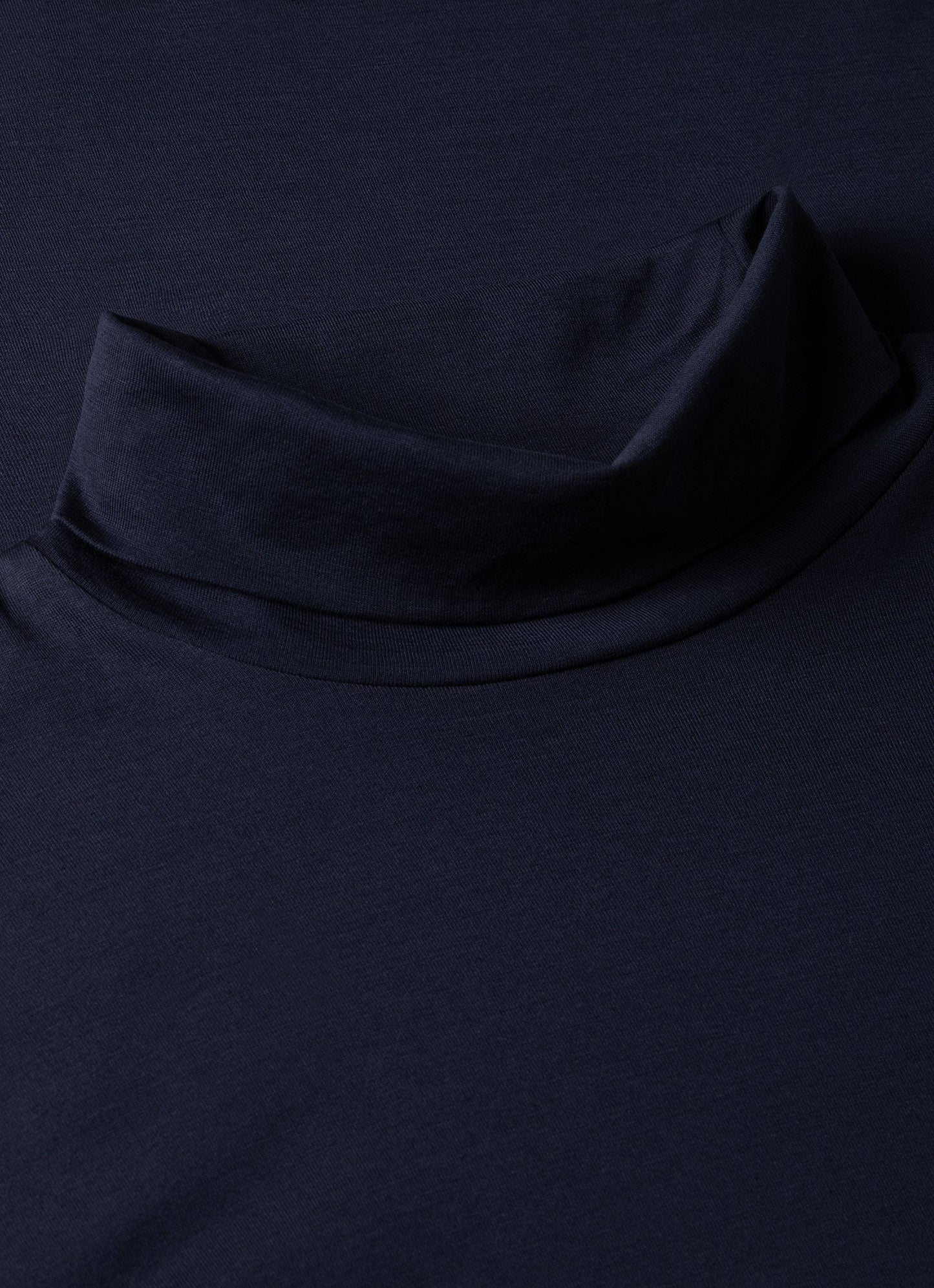 Mens Long Sleeve Roll Neck In Navy